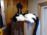 IMG_20170121_114525.jpg
