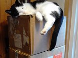 IMG_20170121_114531.jpg