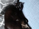 IMG_20170209_112754.jpg
