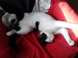IMG_20170211_132041.jpg