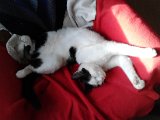 IMG_20170211_132050.jpg