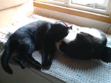 IMG_20170221_122554.jpg