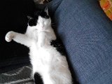 IMG_20170417_130242.jpg