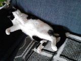 IMG_20170417_130253.jpg