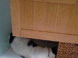 IMG_20170831_135542.jpg