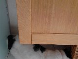 IMG_20170831_135553.jpg