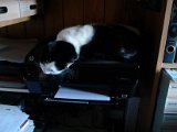 IMG_20171030_111036.jpg