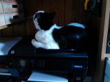 IMG_20171030_111130.jpg