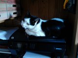 IMG_20171030_111139.jpg