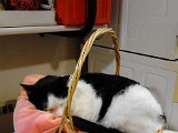 IMG_20171109_142101.jpg