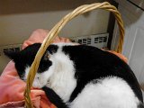 IMG_20171109_142149.jpg